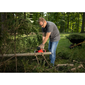 Cordless Pruning Chainsaw CMCCS320D1