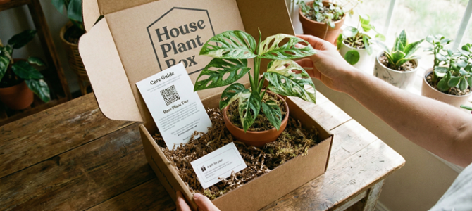 The Perfect Gift for Plant Lovers: A House Plant Box Subscription Review